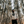 Load image into Gallery viewer, Oak Tree Vintage Crewneck