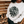 Load image into Gallery viewer, Oak Tree Vintage Crewneck