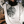 Load image into Gallery viewer, Oak Tree Vintage Crewneck