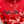 Load image into Gallery viewer, Red Bleached Crewneck