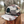 Load image into Gallery viewer, Trout Hat