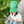 Load image into Gallery viewer, Locals Only Mesh Trucker Hat