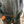 Load image into Gallery viewer, Dark Grey Flannel