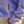 Load image into Gallery viewer, Plush Hoodie