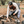 Load image into Gallery viewer, Birchwood Quarter Zip