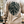 Load image into Gallery viewer, Oak Tree Long Sleeve