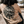 Load image into Gallery viewer, Oak Tree Long Sleeve