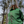 Load image into Gallery viewer, Green Premium Vintage Hoodie