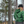 Load image into Gallery viewer, Green Premium Vintage Hoodie
