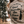 Load image into Gallery viewer, Head Towards the Trees Tee
