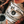 Load image into Gallery viewer, High Vibes Tee