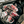 Load image into Gallery viewer, 20-Can Outdoor Cooler