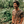 Load image into Gallery viewer, Reverse Tie Dye Tee