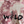 Load image into Gallery viewer, Toddler RTD Wild Tee