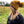 Load image into Gallery viewer, Twist Cuffed Pom Beanie