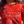 Load image into Gallery viewer, Firecracker Red Bleached Tee
