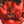 Load image into Gallery viewer, Red Eagle Heavyweight Hoodie
