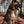 Load image into Gallery viewer, The Walking Pine
