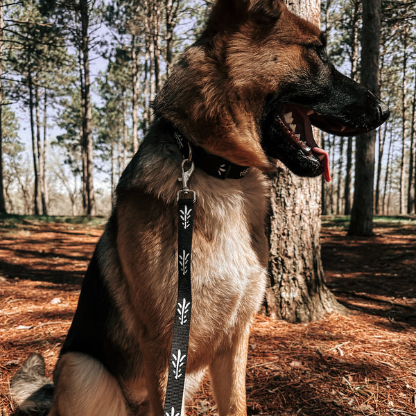 The Walking Pine