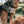 Load image into Gallery viewer, The Walking Pine
