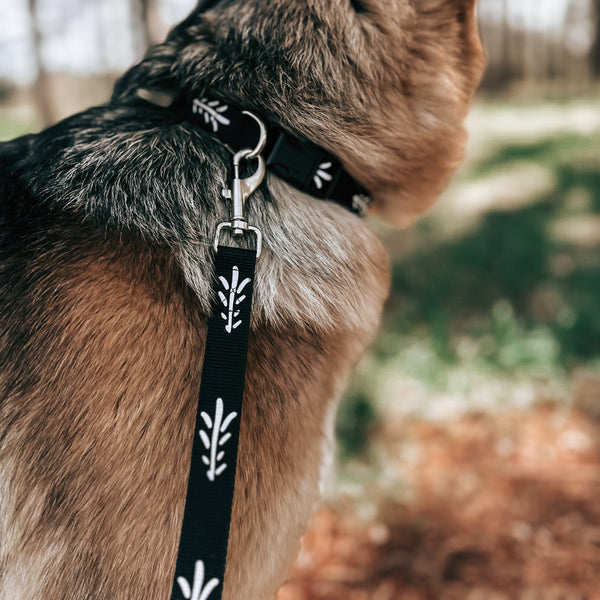The Walking Pine