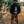 Load image into Gallery viewer, Heavyweight Tree Hoodie
