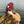 Load image into Gallery viewer, Fall Beanies
