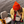 Load image into Gallery viewer, Loon Tee
