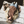 Load image into Gallery viewer, Brown Plush Crewneck
