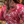 Load image into Gallery viewer, Maroon Bleached Tee
