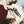 Load image into Gallery viewer, Loon Crewneck
