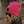 Load image into Gallery viewer, Rubber Patch Beanies
