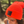 Load image into Gallery viewer, Rubber Patch Beanies
