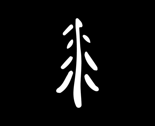 Black Pine Mystery Bag