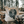 Load image into Gallery viewer, Tree Ring Jumbo Tote Bag
