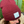 Load image into Gallery viewer, Fall Beanies
