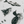 Load image into Gallery viewer, Tissue Paper
