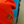 Load image into Gallery viewer, Fall Beanies
