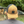 Load image into Gallery viewer, Caramel/Black Rope Hat
