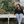 Load image into Gallery viewer, 1/2 Zip Pullover
