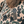 Load image into Gallery viewer, Duck Camo Hoodie
