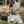 Load image into Gallery viewer, Woodland Camo Hoodie
