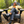 Load image into Gallery viewer, Gone To The Woods Crewneck
