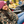 Load image into Gallery viewer, Duck Camo Hoodie
