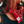 Load image into Gallery viewer, Classic Red Bandana
