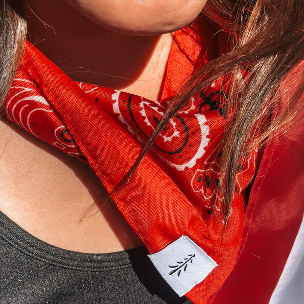 Classic Red Bandana