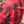 Load image into Gallery viewer, Plaid Long Sleeve Flannel
