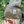 Load image into Gallery viewer, Camo Beanie
