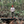 Load image into Gallery viewer, Gone To The Woods Crewneck
