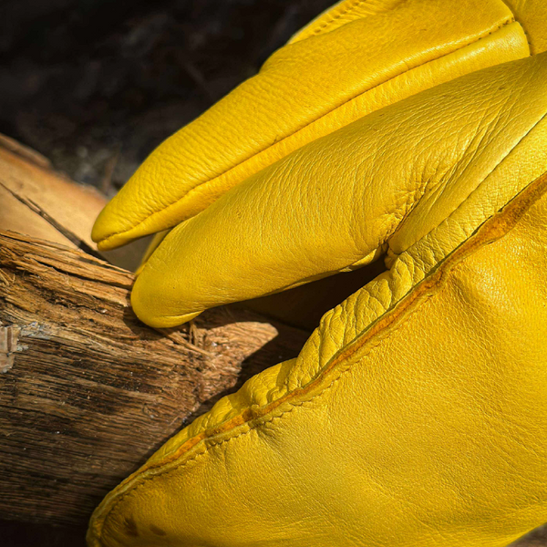 The Cabin Mitten